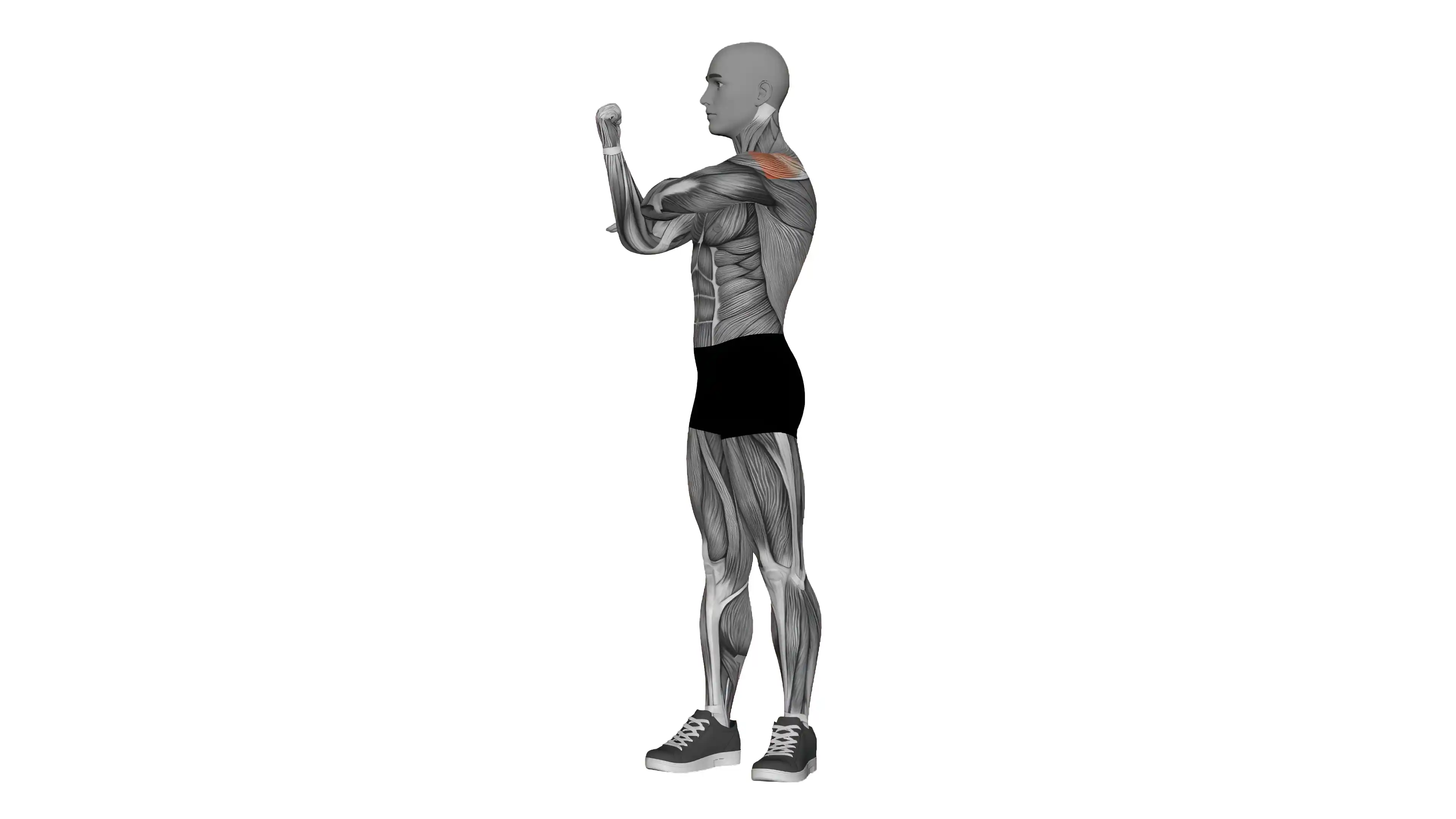 Standing Adductor Stretch