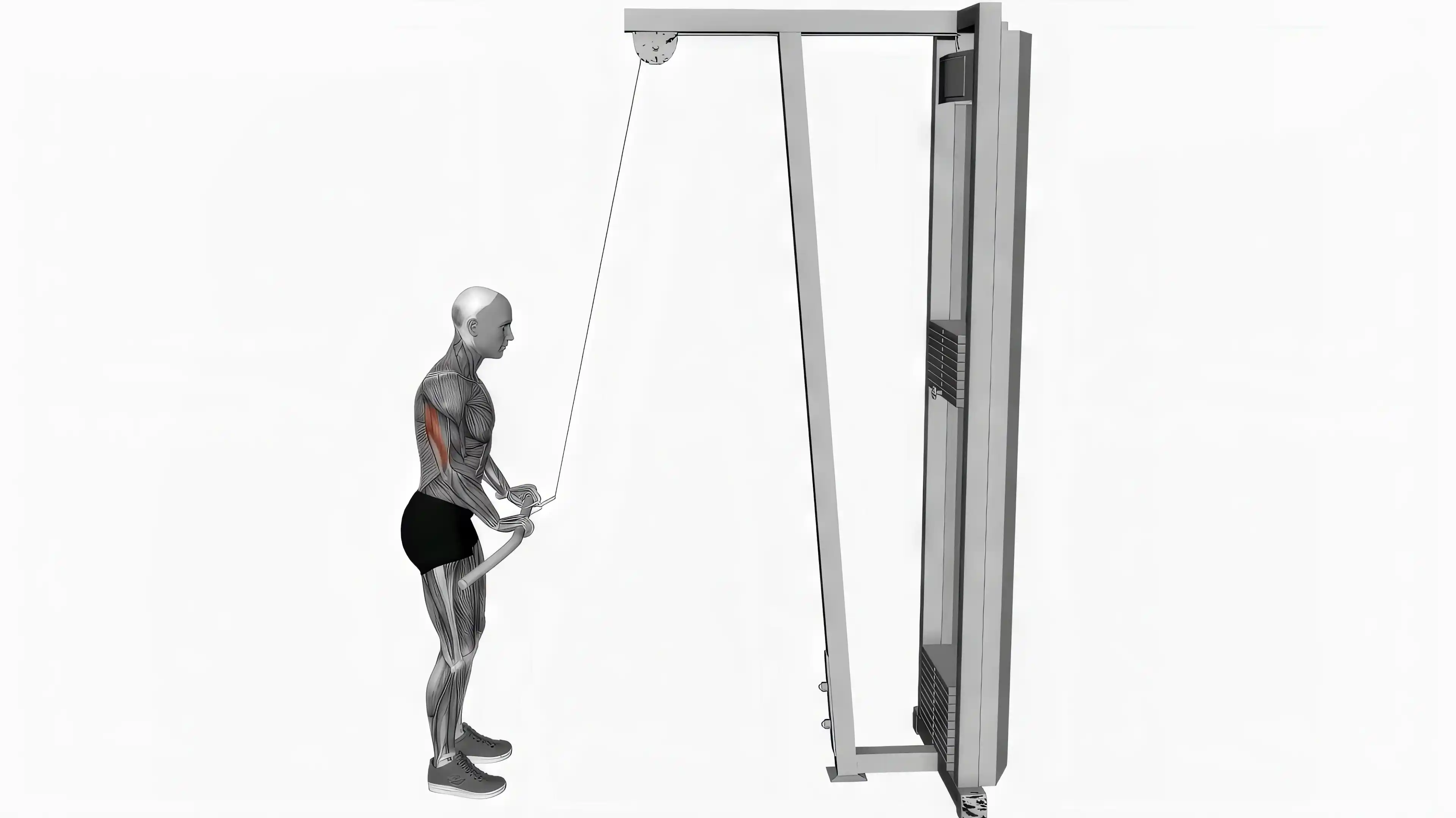 Bodyweight Overhead Triceps Extension
