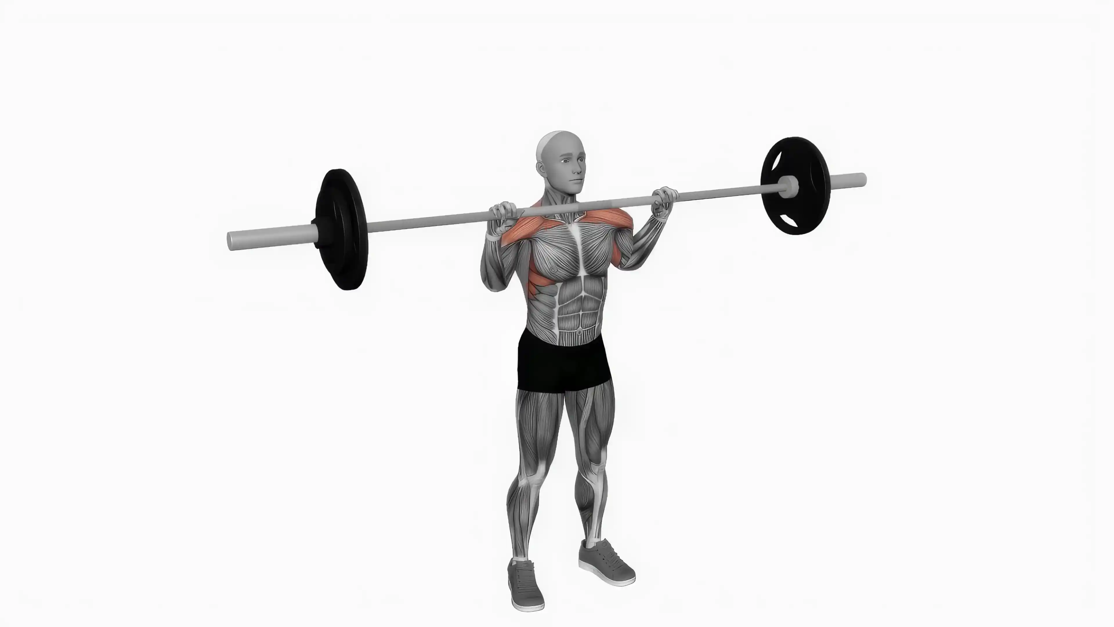 Dumbbell Seated Alternate Front Raise