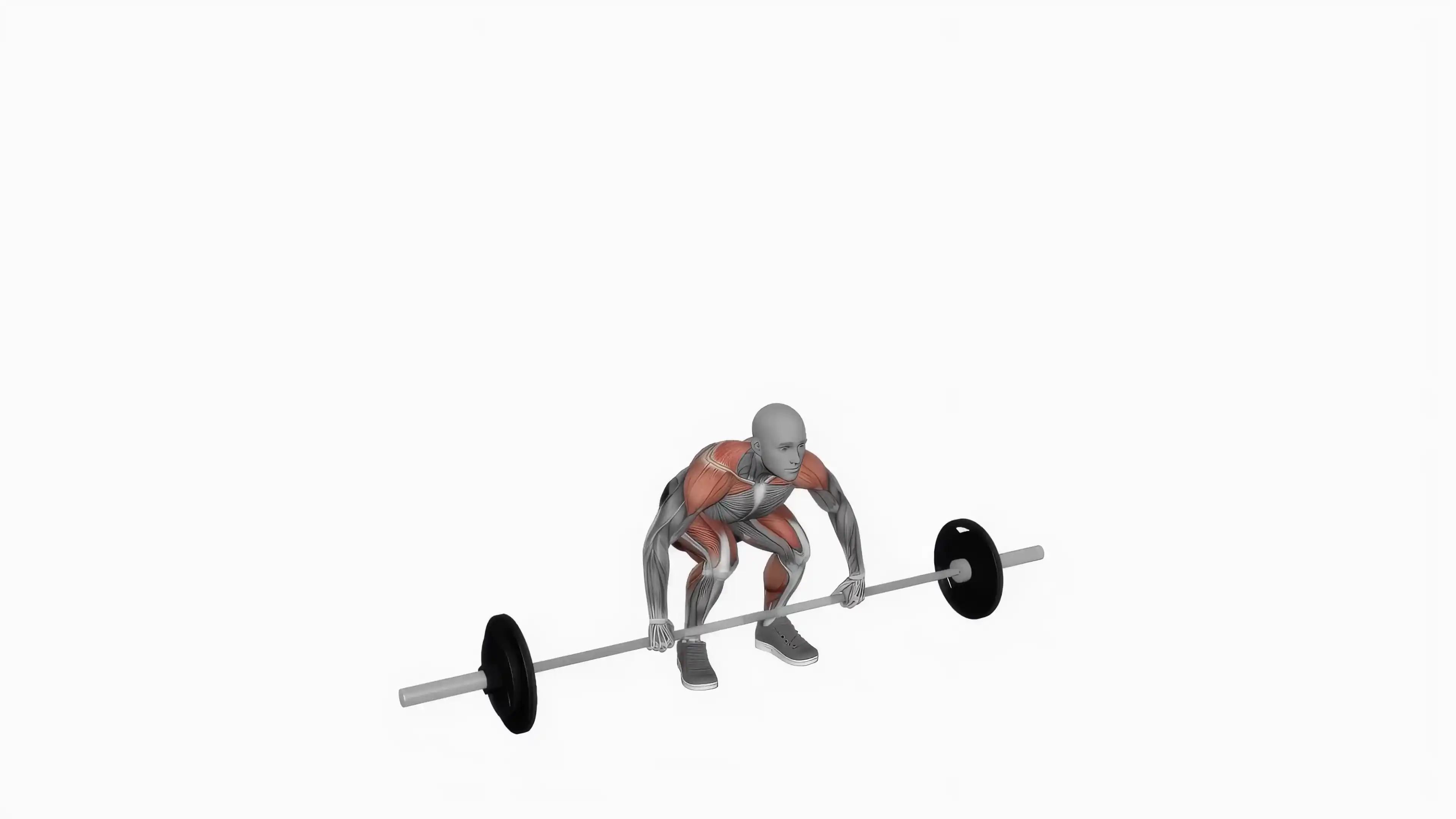 Barbell Clean and Press